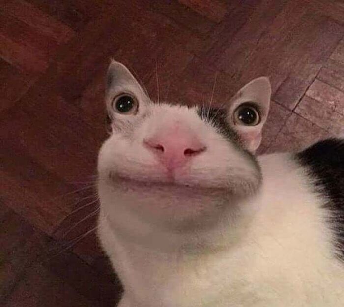      , , , , , ,  , , , 