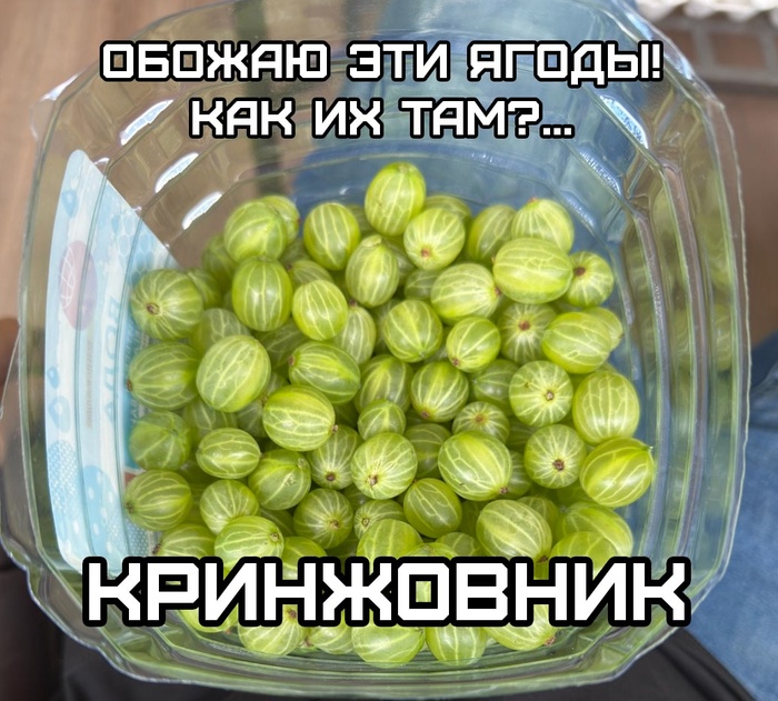  , Telegram (),   , , ,  