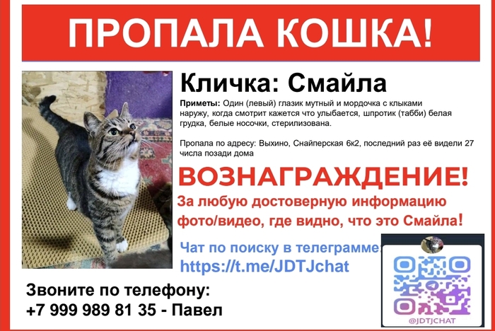       ,  , , , , , , Telegram (), ,  