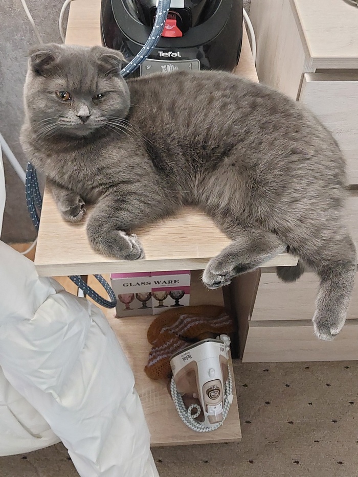      , , , ,  