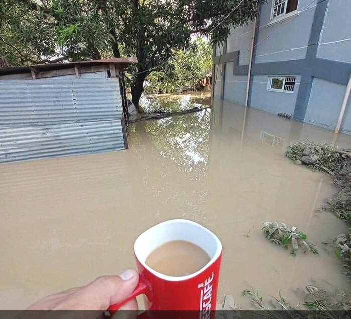      Nescafe , , , , , , 