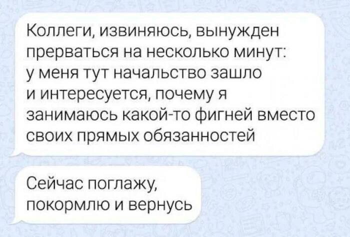   )