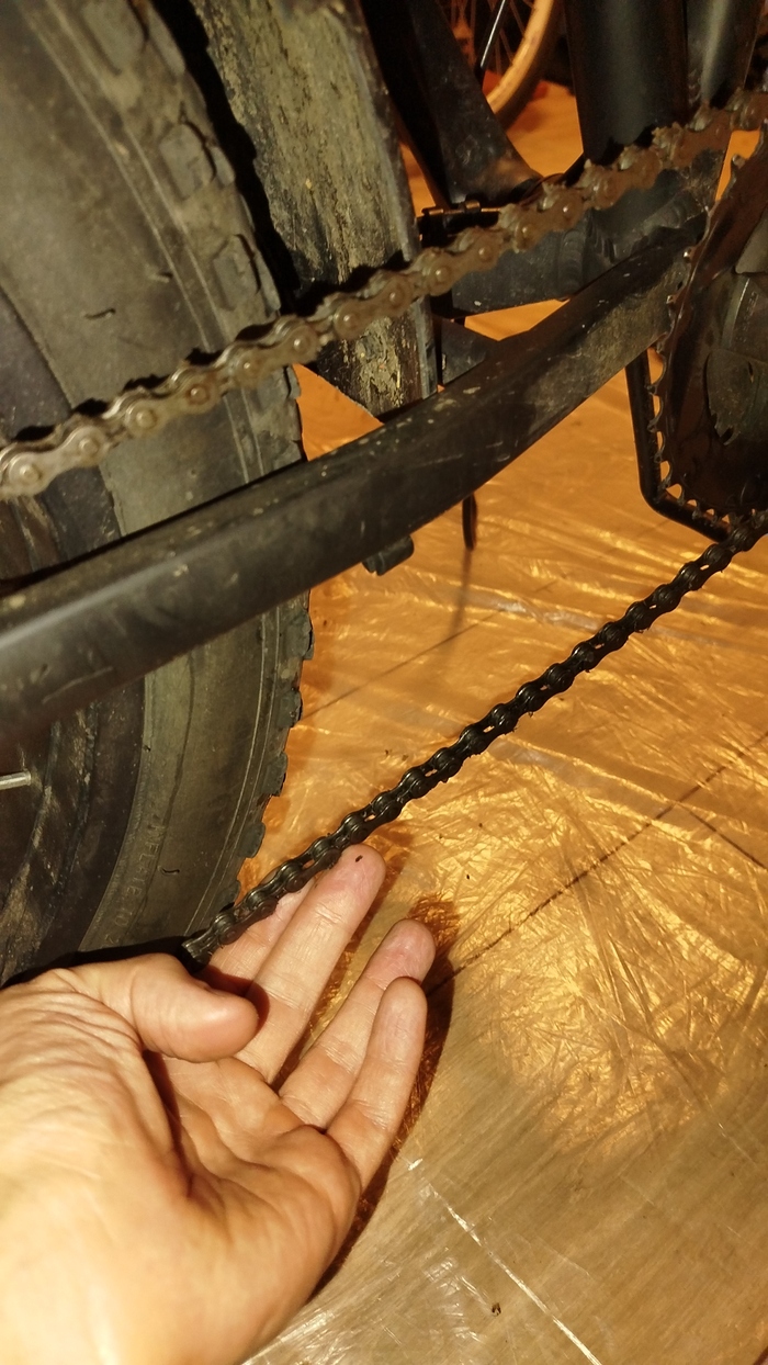 ������ ���� ����� ������������� � ����