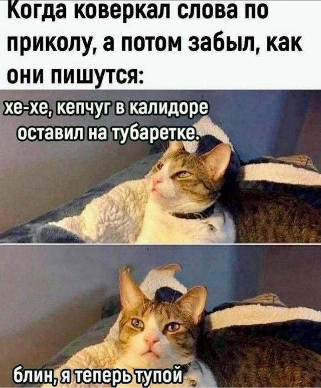   , ,   , , , 