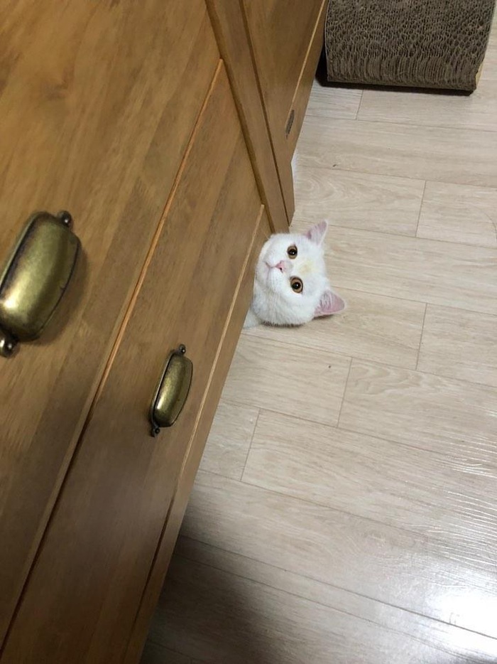!  ? , 