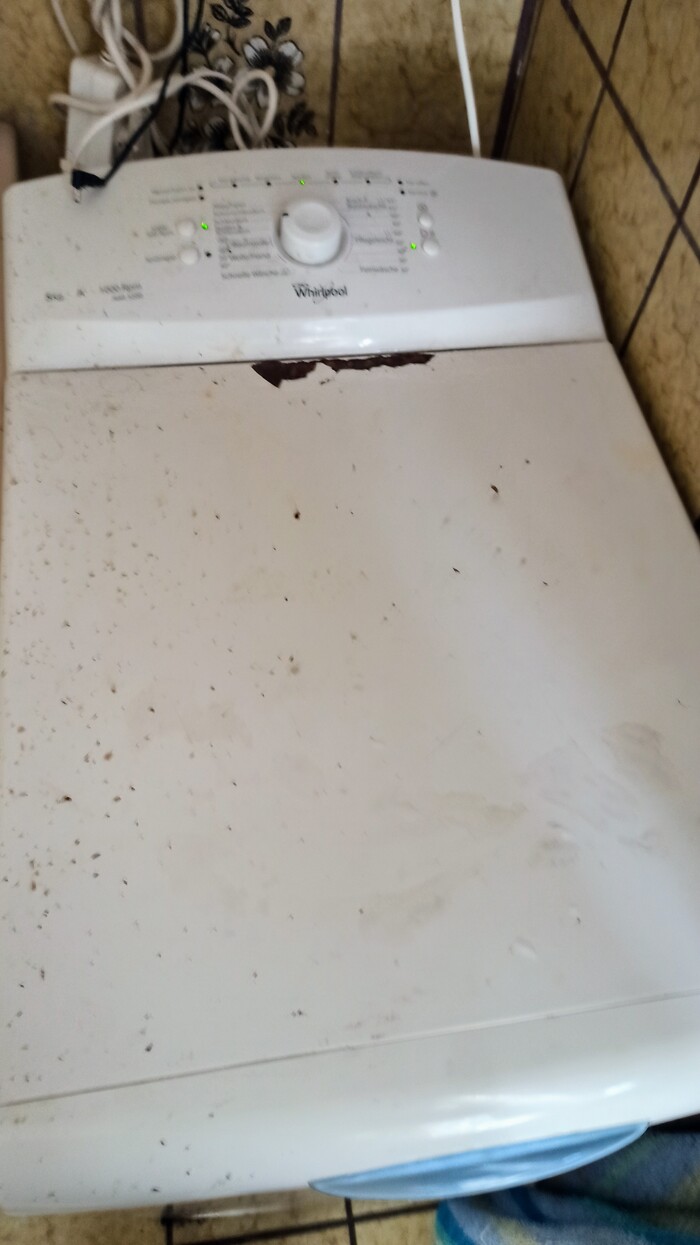     , , ,  , , ,  ,   