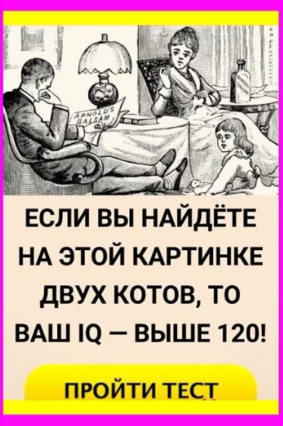  ...  , ,   , , IQ, , 