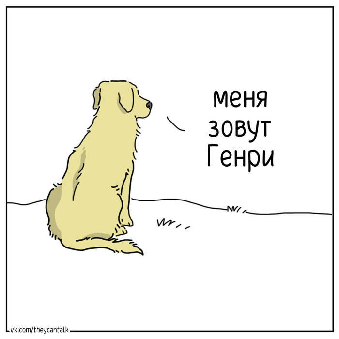  ,  , , Theycantalk, Telegram (),  (), , 