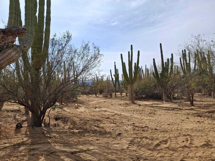 "Озабоченность". 1 часть