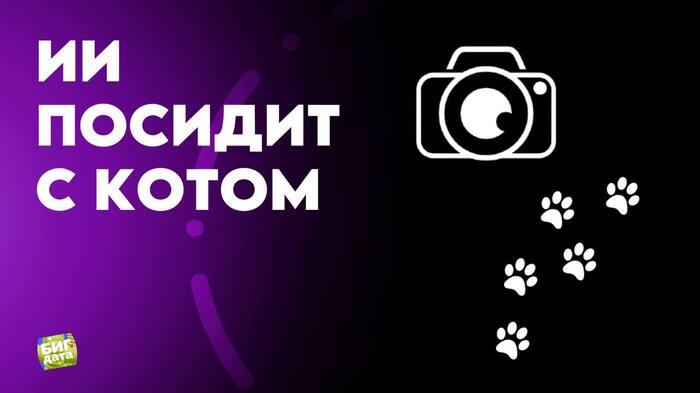 Petlibro Scout:     ,      ,  , , , 
