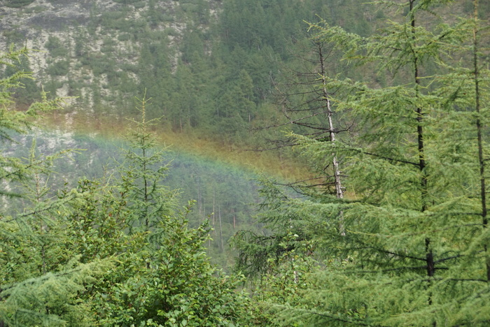   .    2000 .   ,  ,   .  .      .   