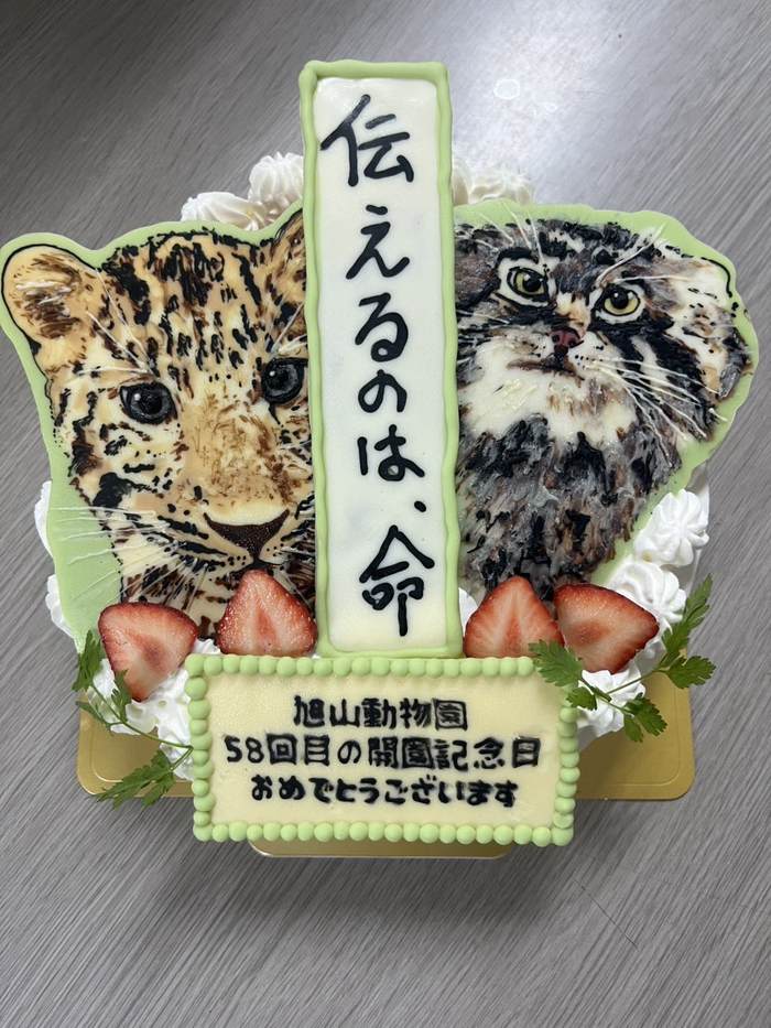    58-   ^_^  ,  ,  , ,  ,  , , , , , 