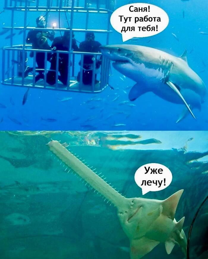  )   ,  