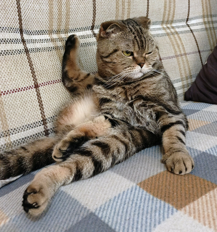   , ,  , , , , 
