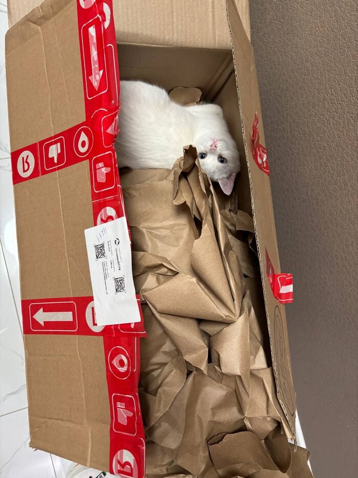        ( )       ,  , ,  , , , ,  ,  ,  