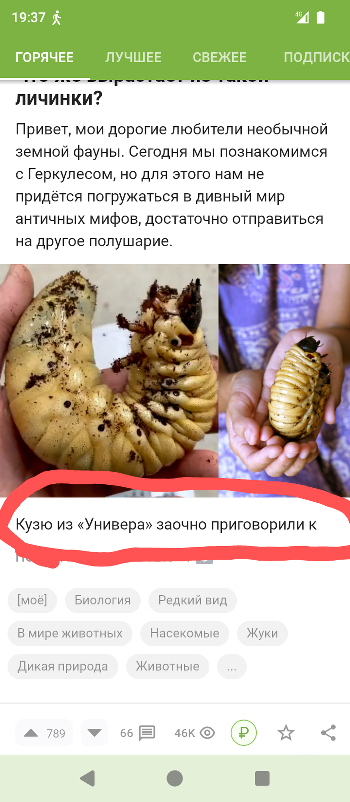   ,   , 