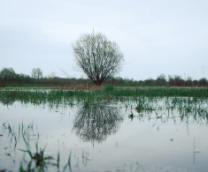 �������