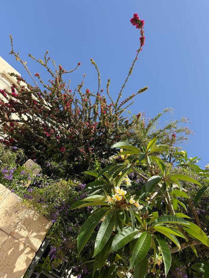 ����� ������������ ����� �������