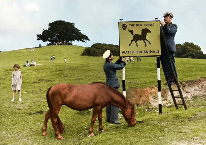 Любопытные фотографии из прошлого Великобритании. 20 раскрашенных фотографий ХХ века. Часть 20 Старое фото, Фотография, 20 век, Великобритания, Лондон, Англия, Шотландия, Колоризация, Длиннопост