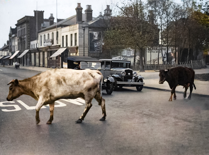 Фотограф: Норман Смит