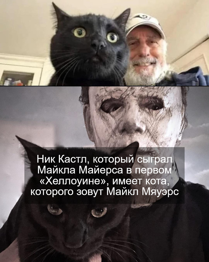  )   (), ,   