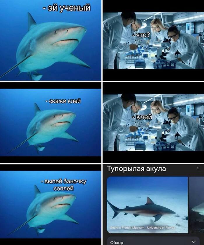     , , , , , 