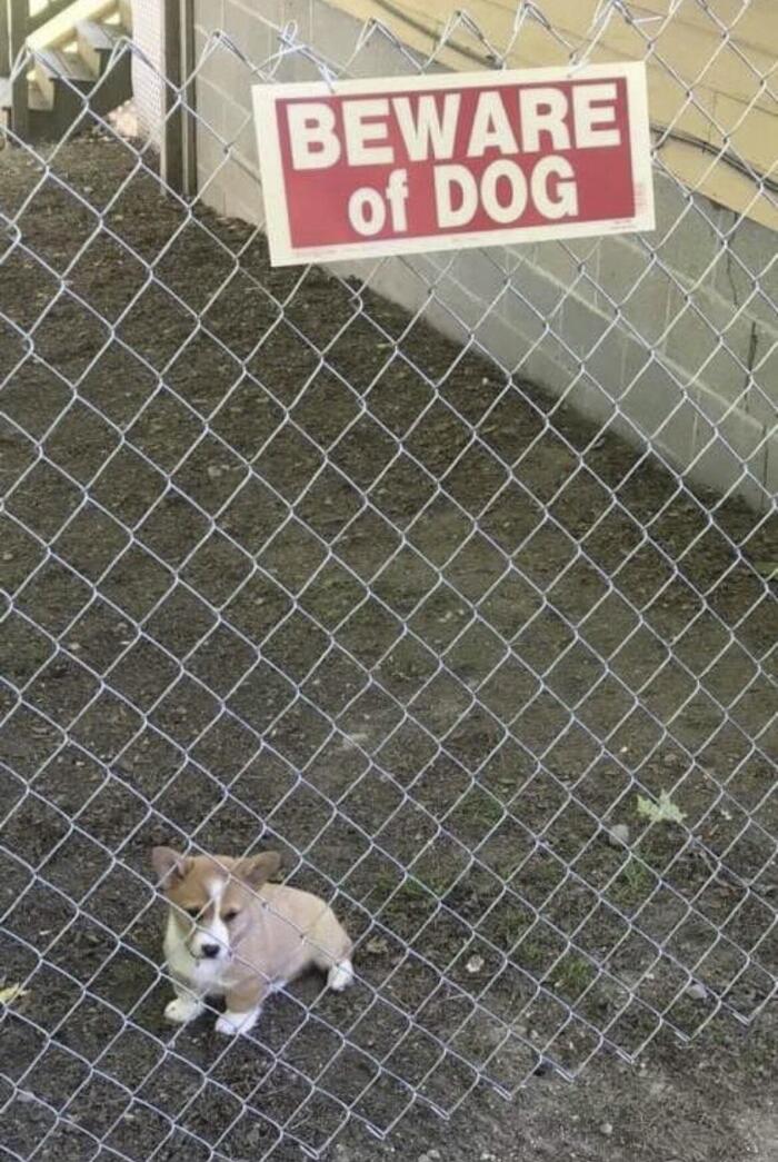 ,   (   ) , , ,   , , 