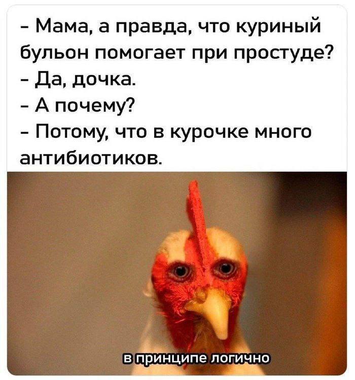   , , ,  , Telegram (),   