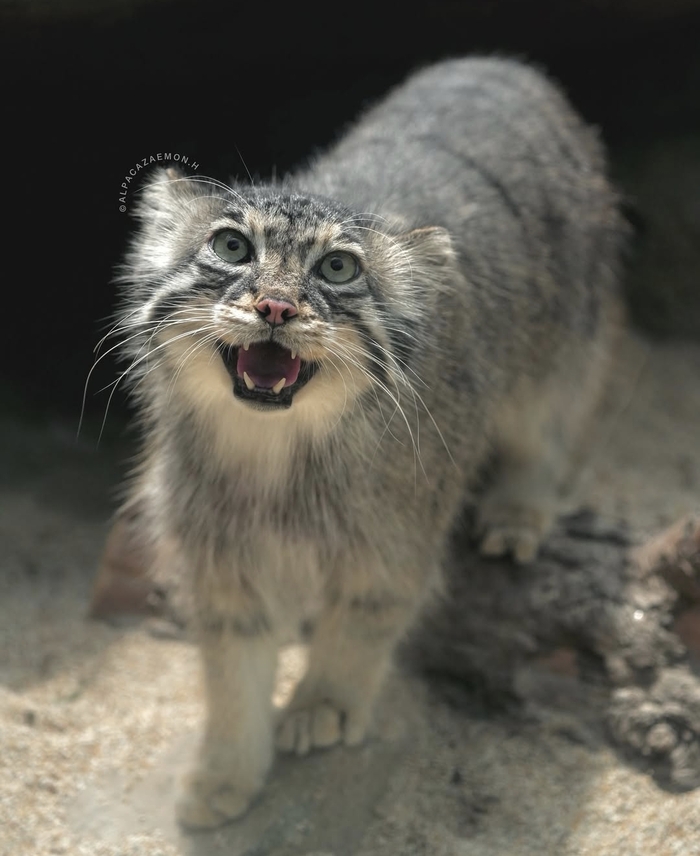 Завтра пятница!