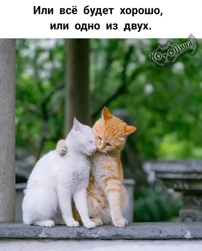    -:      , , , , , , , ,   , 