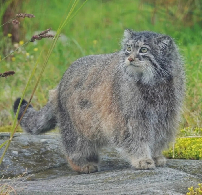 Увидела завтрак