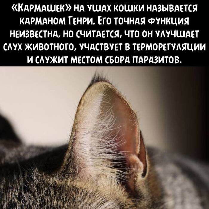   , ,   