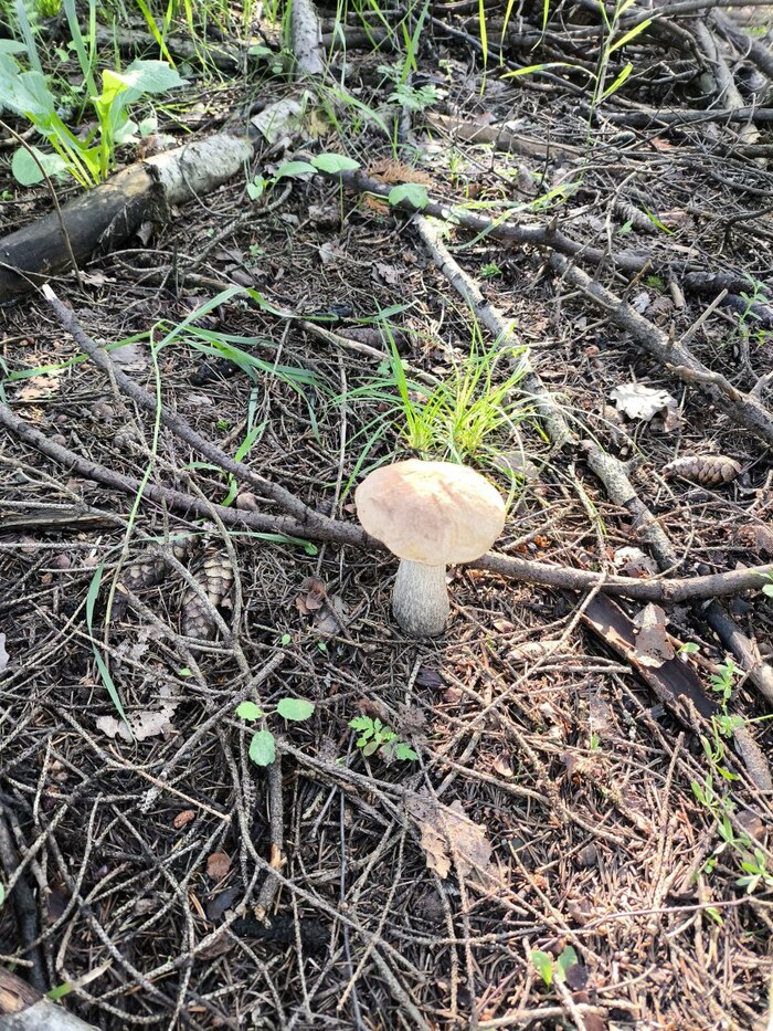 День первый - Знакомство