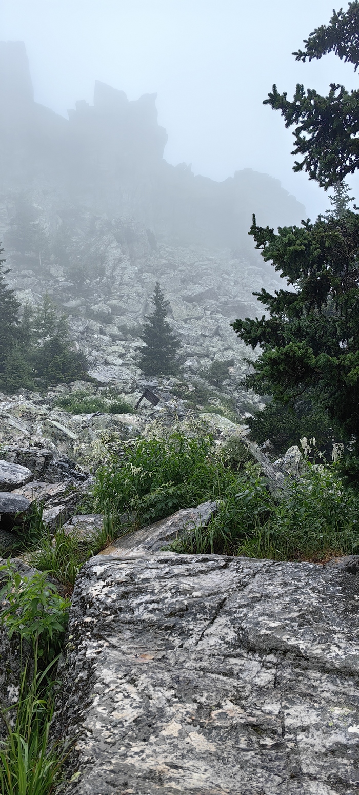 В тот день мы прошли суммарно 27 км . От центральной усадьбы до Откликного гребня и обратно.