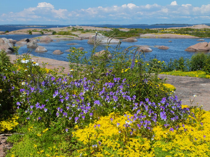 Финский залив. Фото Е. Глазковой.