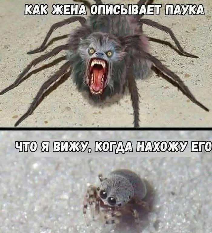   ,   , 
