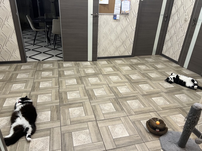 Дневная сиеста с другом