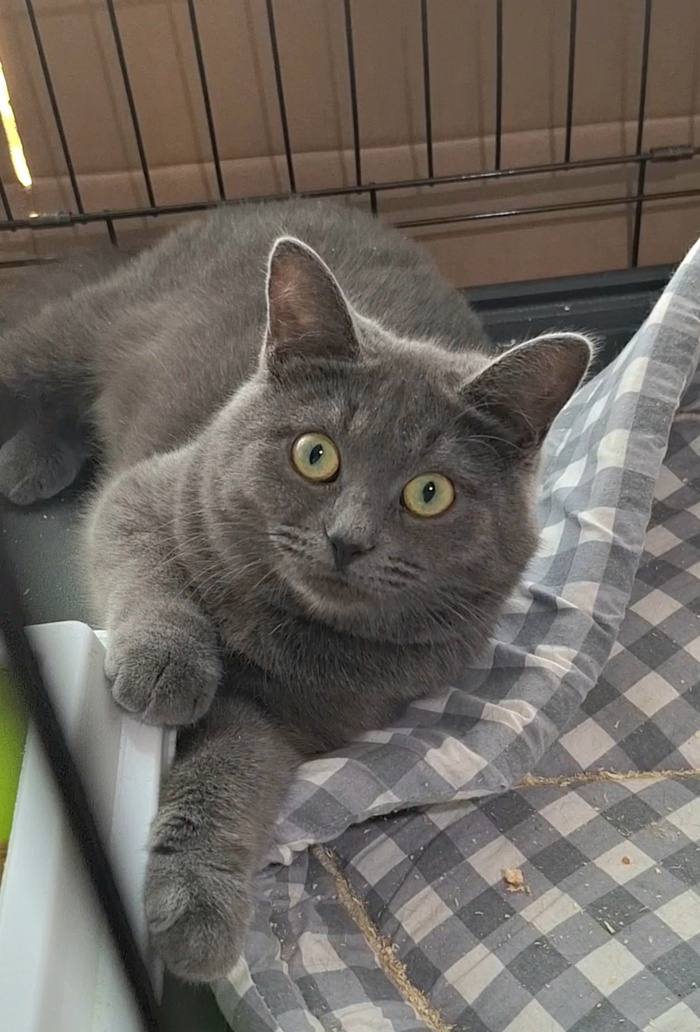  ,    ,  ,   , , , -, 