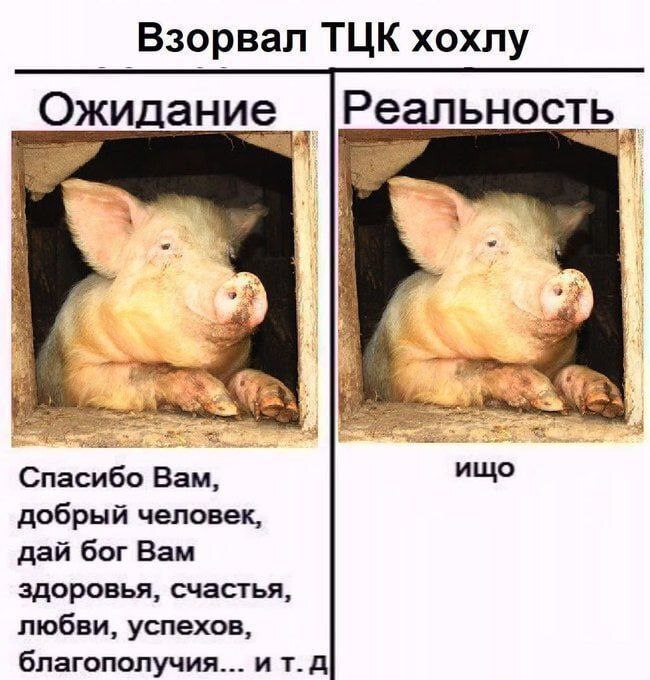          , , , , , , ,  , Telegram (),   ,  