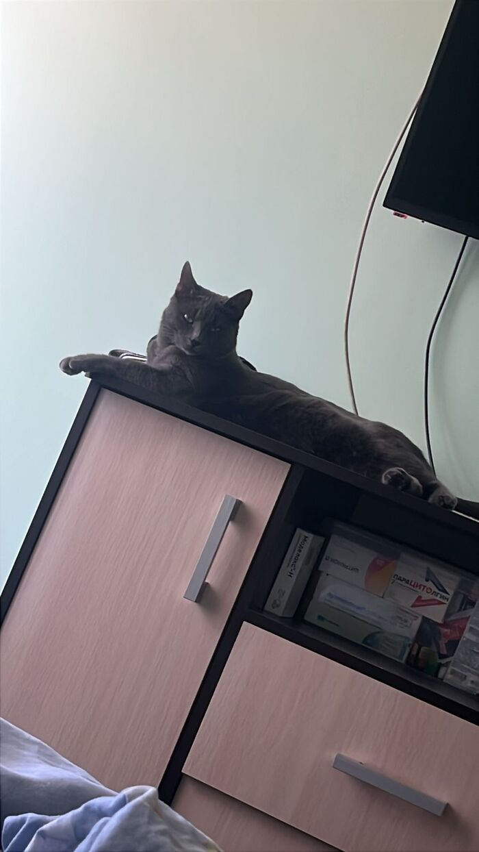   .
