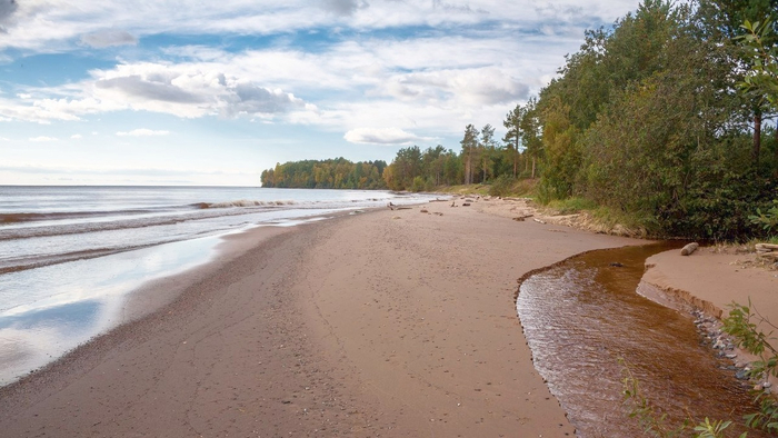 Берег Онежского озера