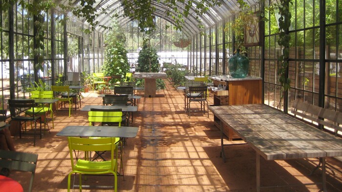 В Оранжерее.