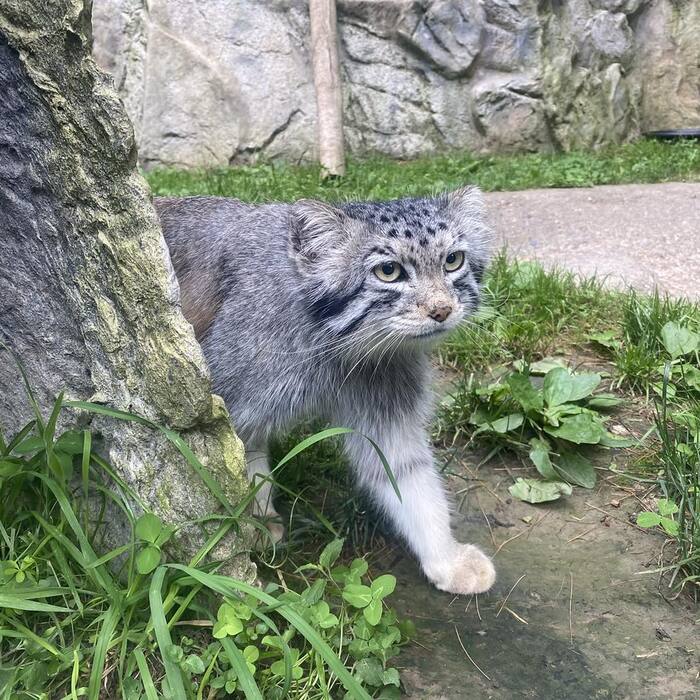 Прогулка в погожий денёк
