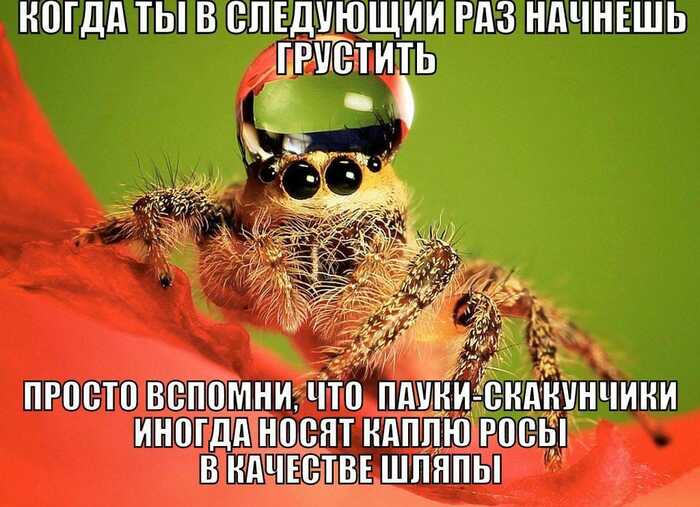     ,   , ,   