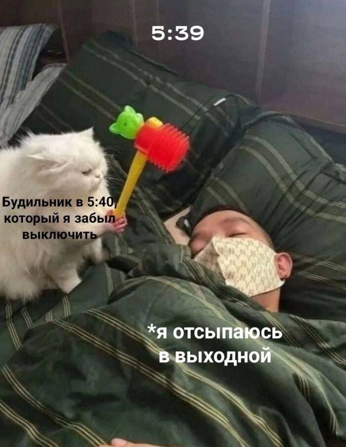 Мое сегодняшнее утро