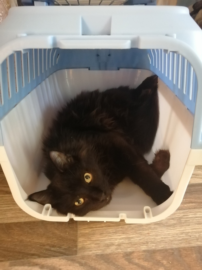      ,  , -, , , ,  , , , 