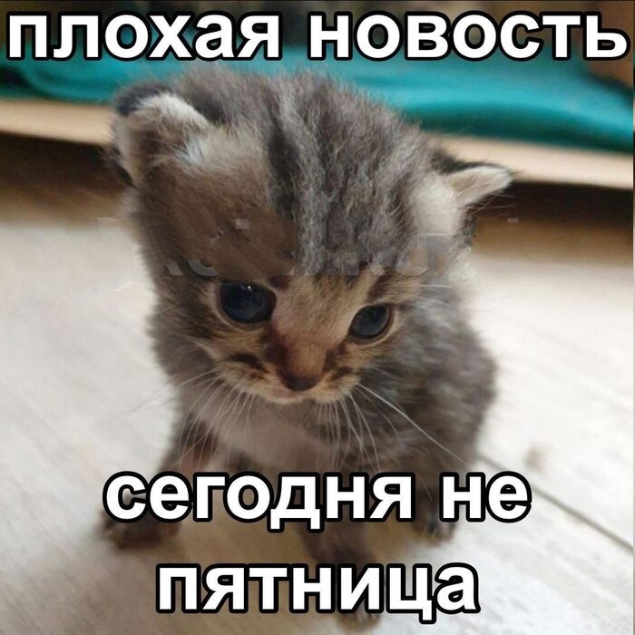   ,   , , , 