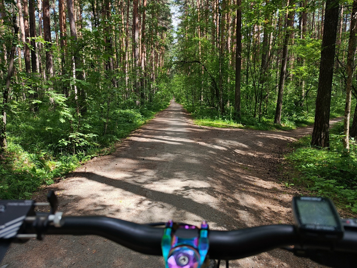 ��� ���� � ������ ����� �������� � ������ ������������ (!) �������: