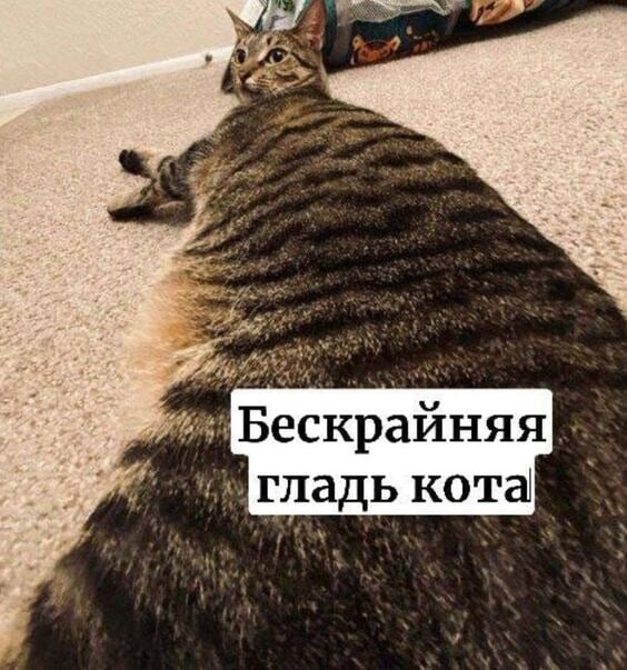 �� �������!