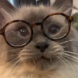 papapama